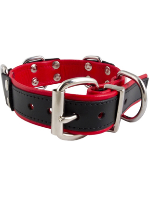 Mister B leather collar with 4 D-rings